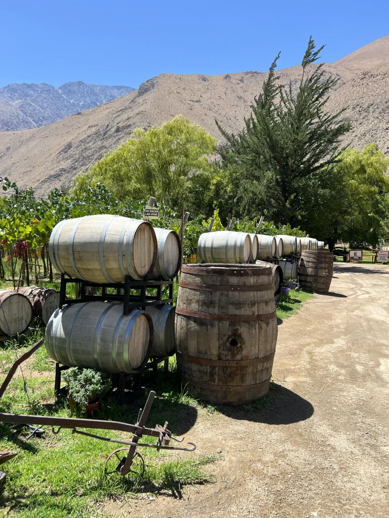 Que faire à la Serena ? Chile